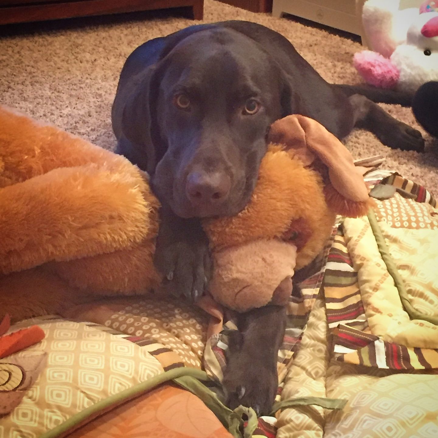 Remi